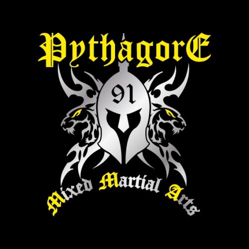 Logo Pythagore 91